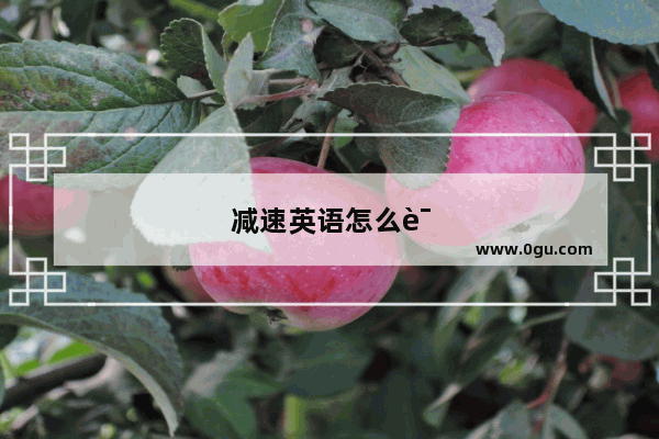 减速英语怎么说2个单词