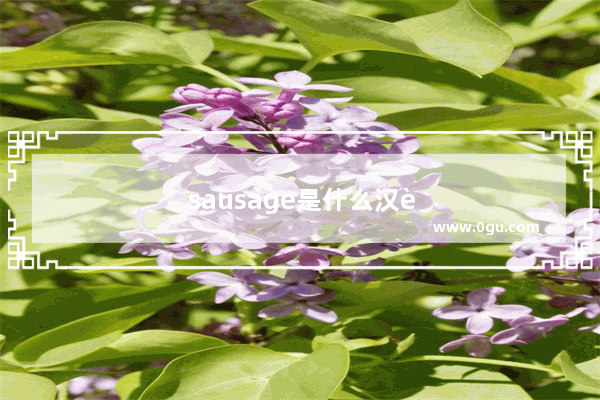 sausage是什么汉语意思