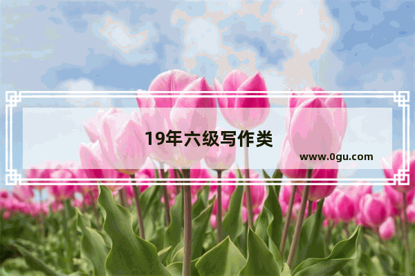 19年六级写作类型
