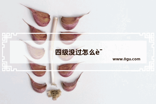 四级没过怎么说
