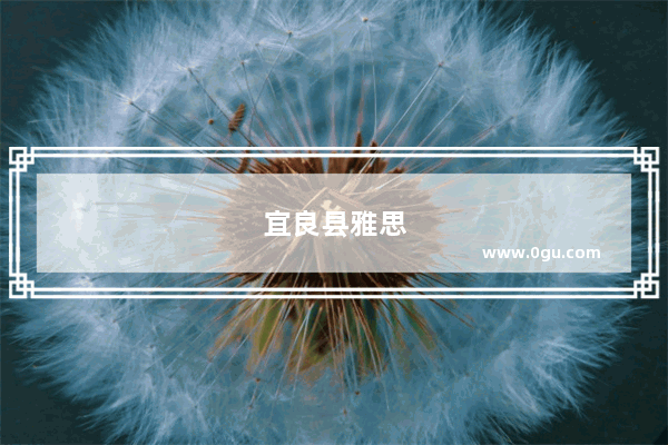 宜良县雅思