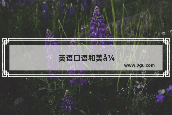 英语口语和美式音标哪个难