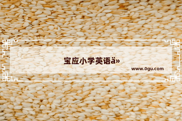 宝应小学英语什么版本好