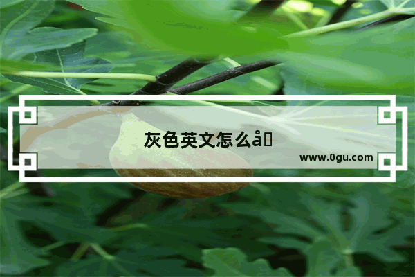 灰色英文怎么写的