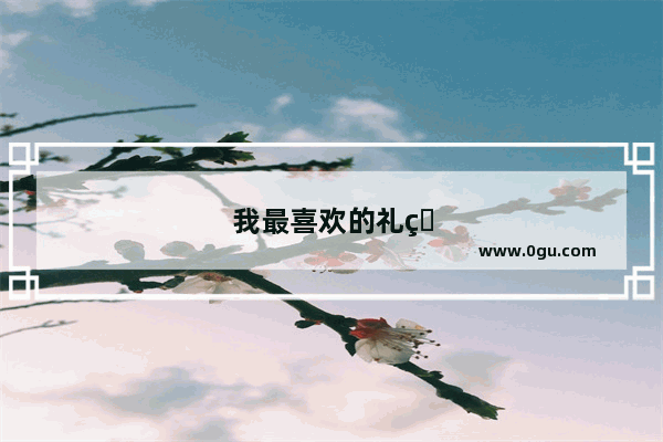 我最喜欢的礼物英语作文5句话