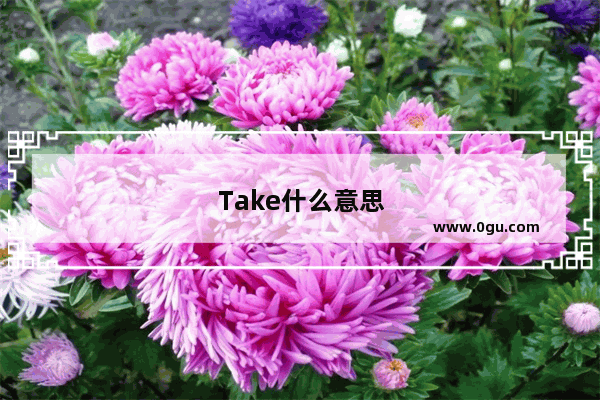 Take什么意思