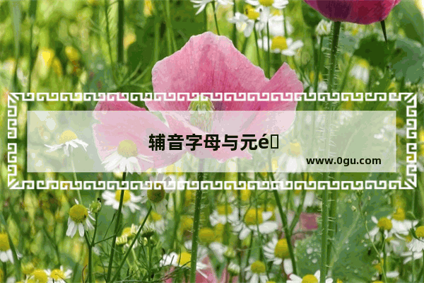 辅音字母与元音字母有哪些