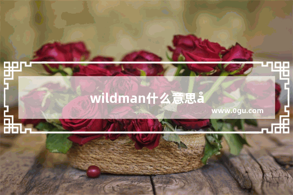 wildman什么意思及同义词