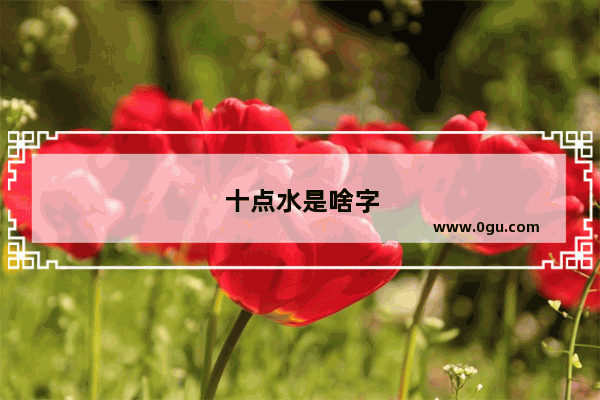 十点水是啥字