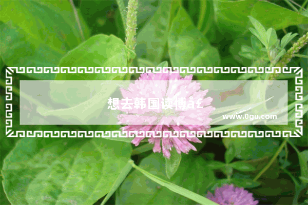 想去韩国读博士 好申请吗