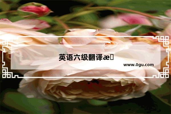 英语六级翻译操场怎么写