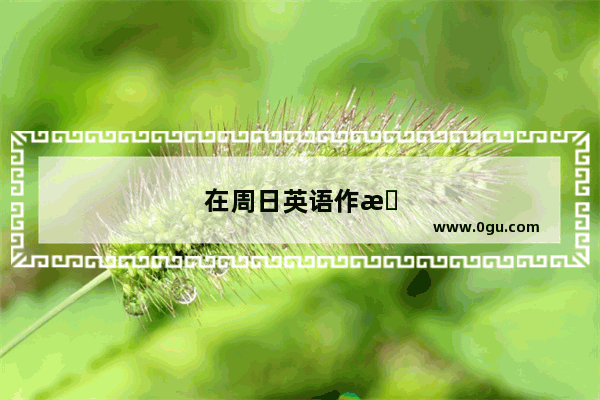 在周日英语作文