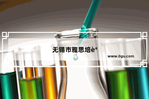 无锡市雅思培训机构