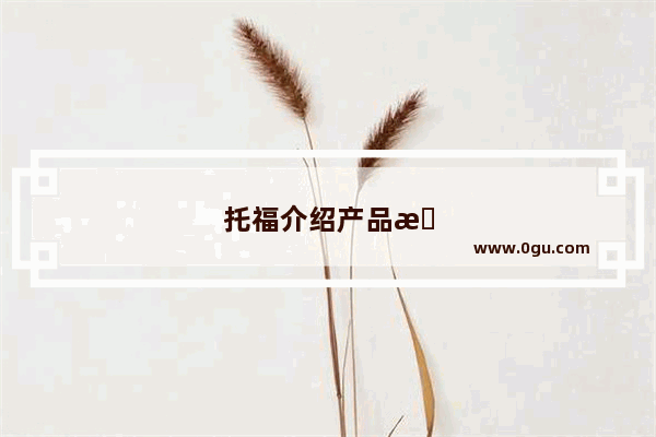 托福介绍产品文案