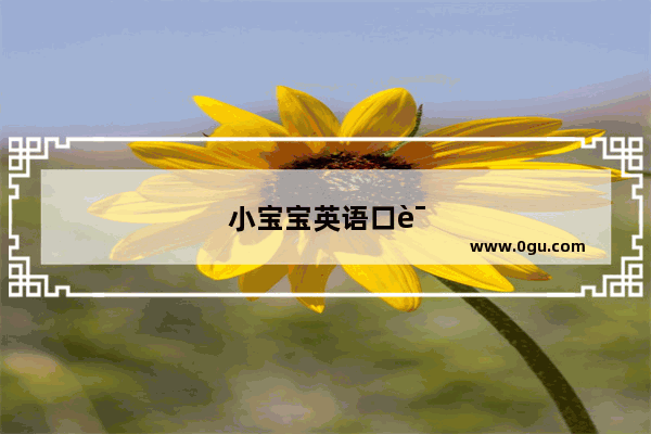 小宝宝英语口语天天练好吗
