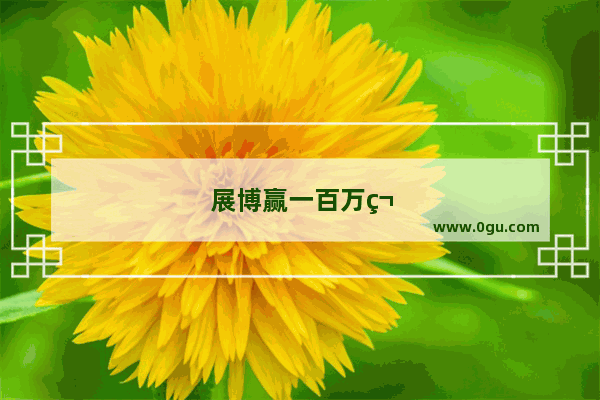 展博赢一百万第几集