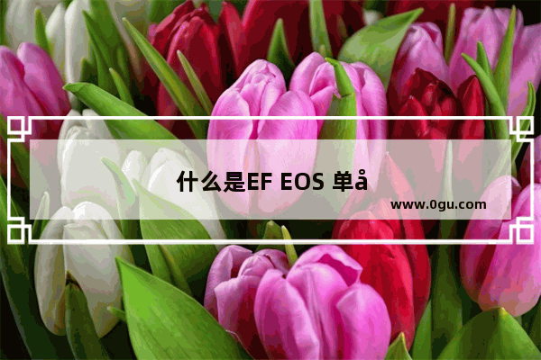 什么是EF EOS 单反的定义又是什么呢
