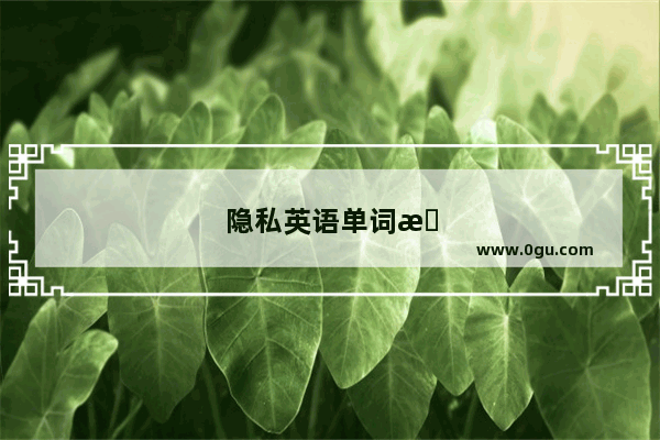 隐私英语单词怎么写