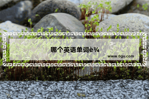 哪个英语单词输进去可以跟着读