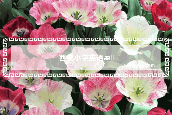 西安小学英语教材是哪个版本