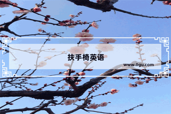 扶手椅英语
