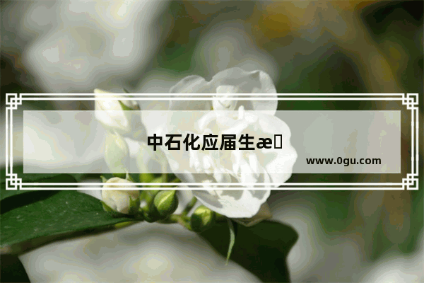中石化应届生承认托福雅思吗