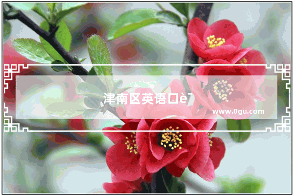 津南区英语口语教学计划