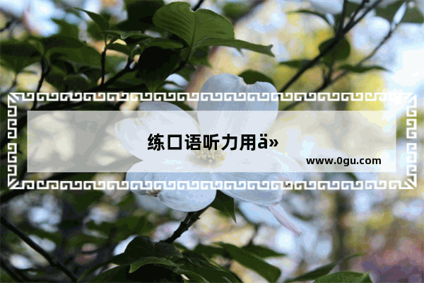 练口语听力用什么机器好