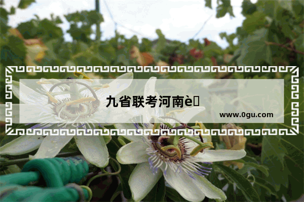 九省联考河南英语考听力吗