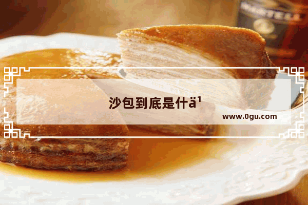 沙包到底是什么意思