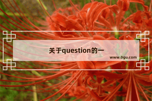 关于question的一些词组 谢谢