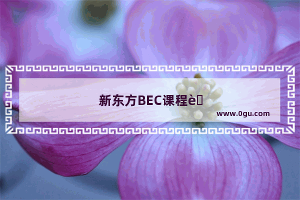 新东方BEC课程能提高口语吗