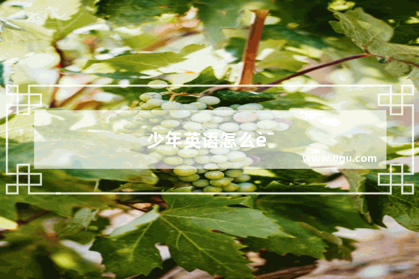 少年英语怎么说