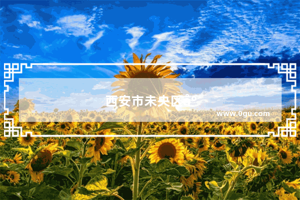 西安市未央区小学排名