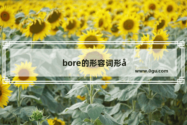 bore的形容词形式