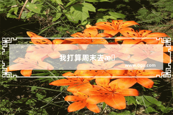 我打算周末去打乒乓球英语作文