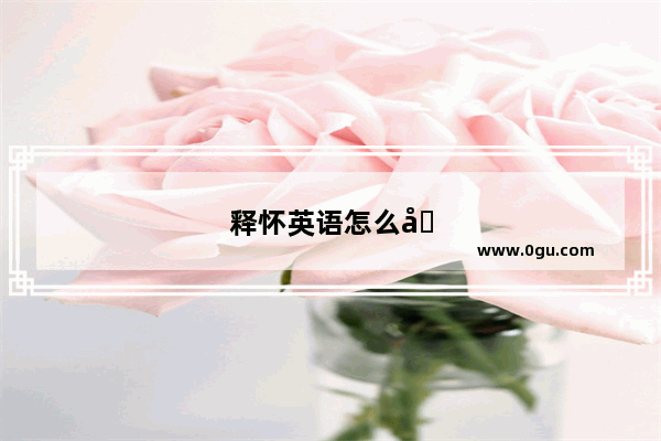 释怀英语怎么写