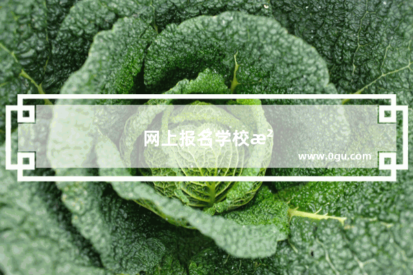 网上报名学校没有接到短信怎么办
