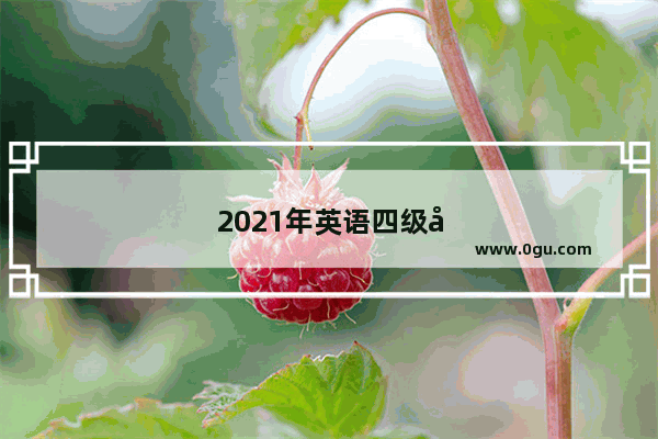 2021年英语四级口语时间