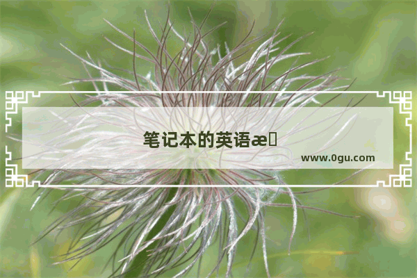 笔记本的英语怎么说