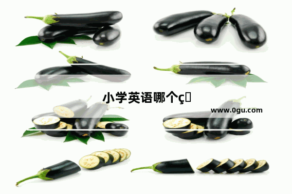 小学英语哪个版本最好