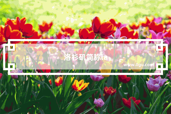 洛杉矶简称la