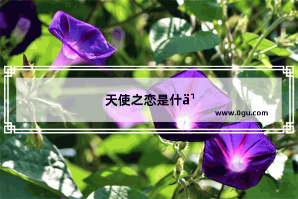 天使之恋是什么意思啊
