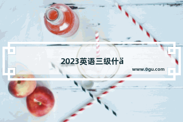 2023英语三级什么时候可以查成绩