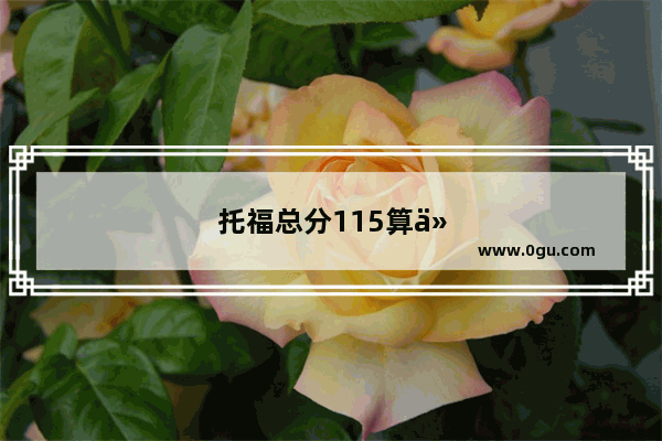 托福总分115算什么水平