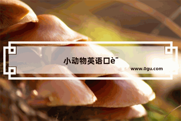 小动物英语口语训练答案大全