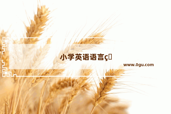 小学英语语言知识点