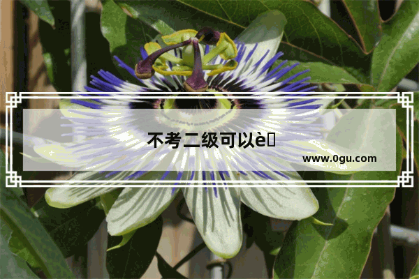 不考二级可以考英语四级吗