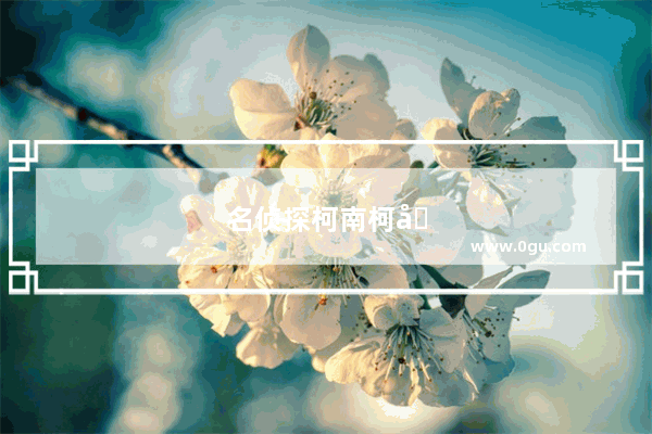 名侦探柯南柯南讲英文是哪一集