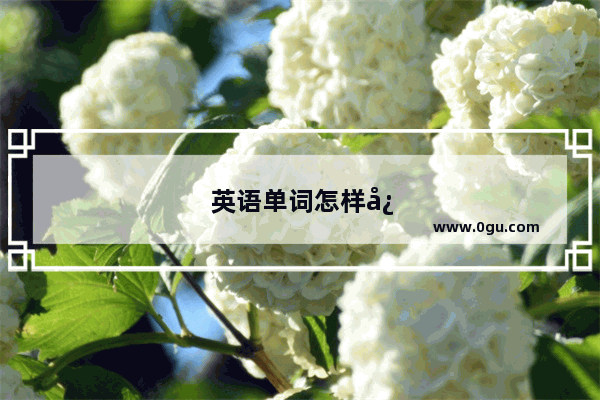 英语单词怎样快速记忆